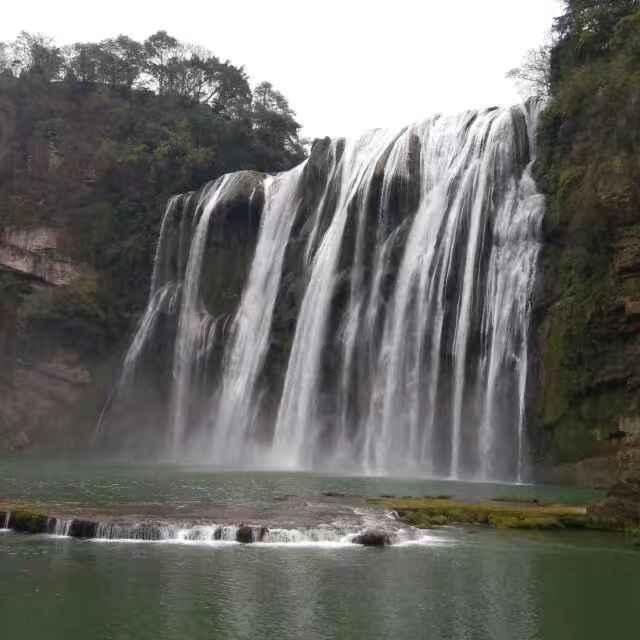 细胞分裂4
